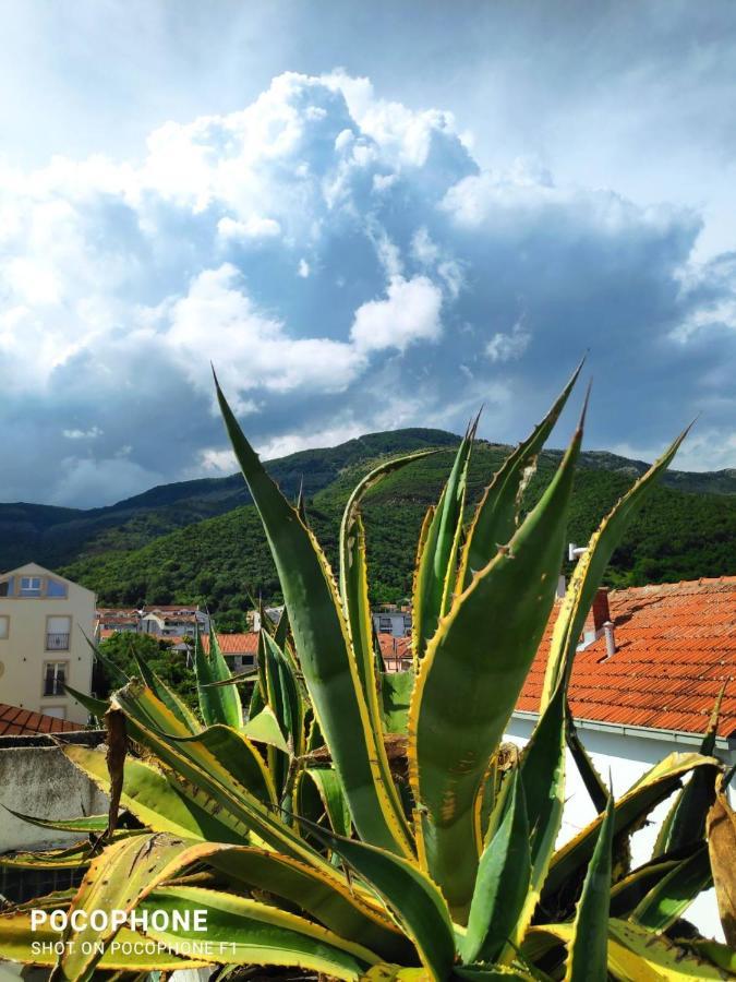 Studios Annie Bijela Dış mekan fotoğraf