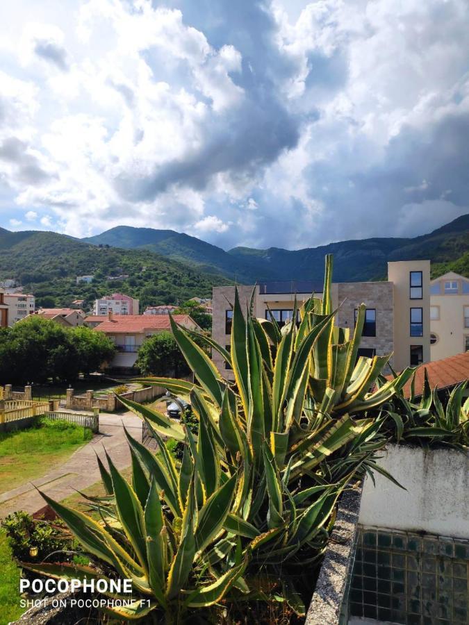 Studios Annie Bijela Dış mekan fotoğraf